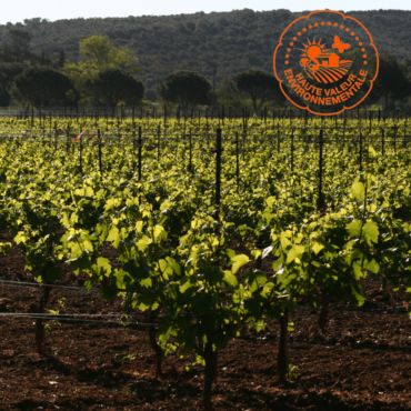 Nos labels pour l’environnement
