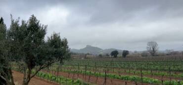 La Pluie en Aude : Une Bénédiction Après l’Épreuve