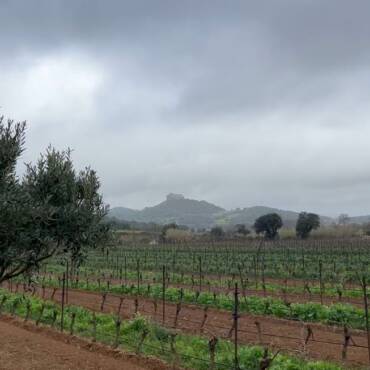 La Pluie en Aude : Une Bénédiction Après l’Épreuve