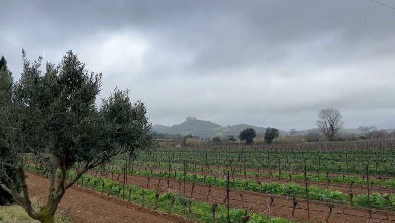La Pluie en Aude : Une Bénédiction Après l’Épreuve