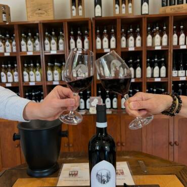 Salons des Vignerons Indépendants Automne 2026