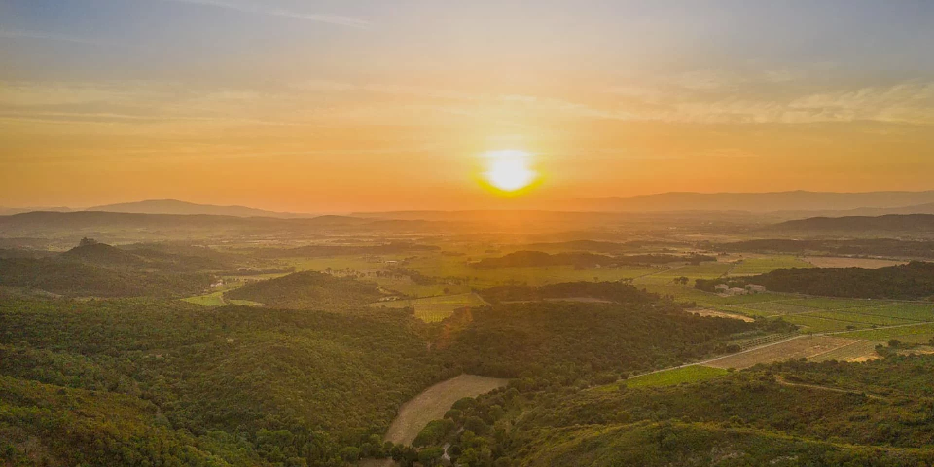 Plan Panoramique Vignoble - Vins de Fontfroide
